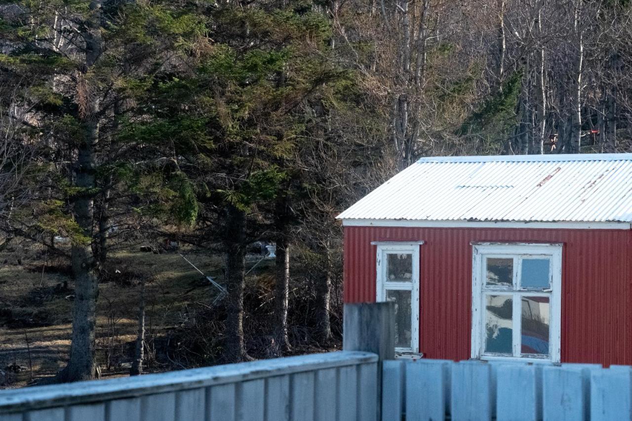 The Guesthouse By The Fjord Thingeyri Exterior foto